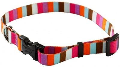 Yellow Dog Design Multi-Stripe Adjustable Collar XS (20-30cm) RRP 8.99 CLEARANCE XL 4.99
